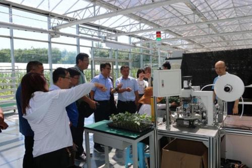 技術推廣助力曲堤黃瓜產業發展，農民增收邁上新臺階