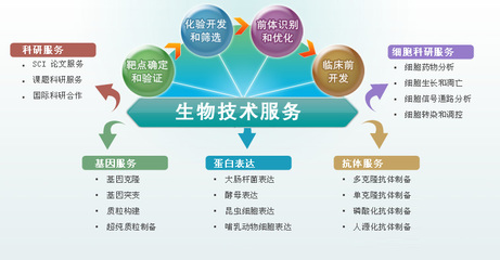 技術(shù)研發(fā)服務(wù)與技術(shù)推廣 創(chuàng)新價(jià)值鏈的雙驅(qū)動(dòng)